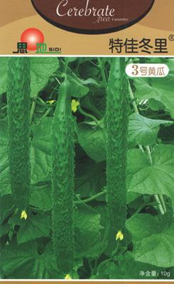 特佳冬里3号黄瓜——黄瓜类