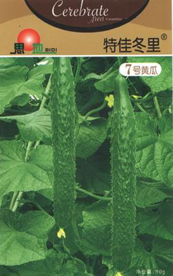 特佳冬里7号黄瓜——黄瓜类