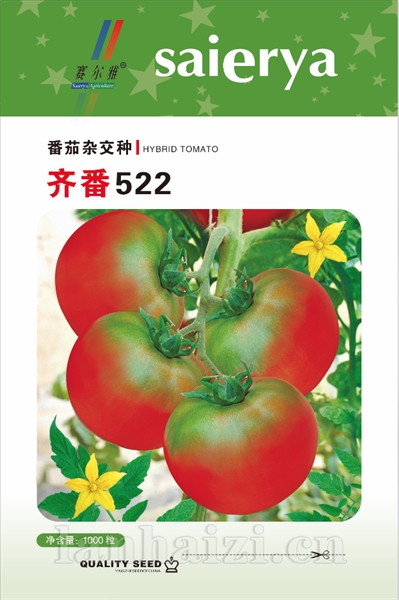 齐番522