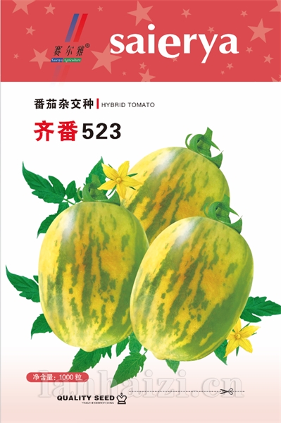 齐番523