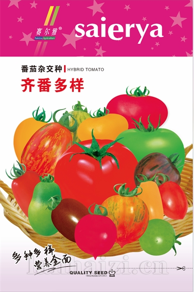 齐番多样