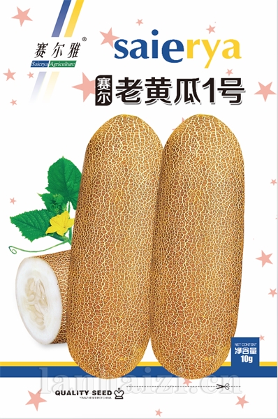 赛尔老黄瓜1号