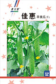 佳惠——黄瓜类