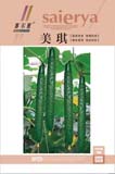 美琪——黄瓜类