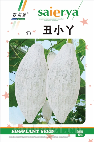 丑小丫