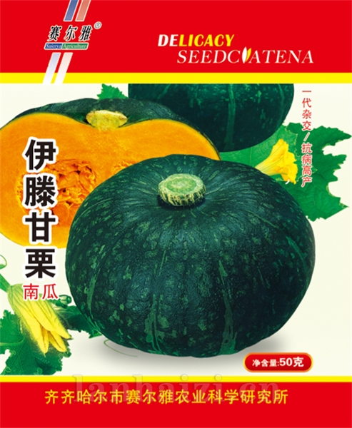 伊滕甘栗——南瓜类