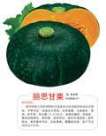 丽思甘栗——南瓜类