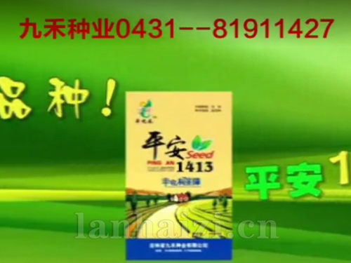 平安1413