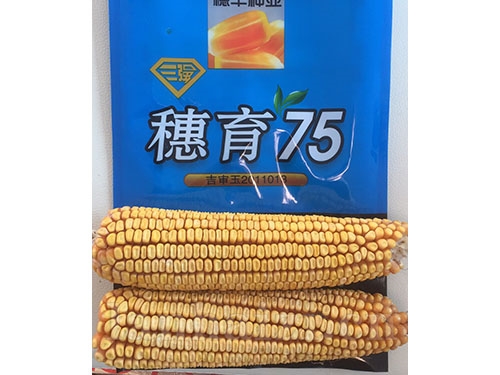 穗育95、平安1413、辽科