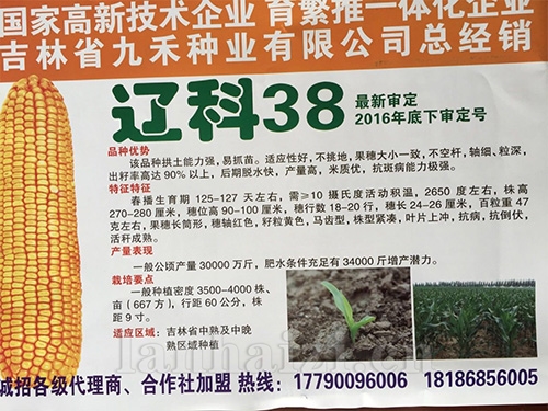 穗育95、平安1413、辽科