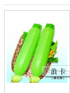 浪卡——西葫芦类