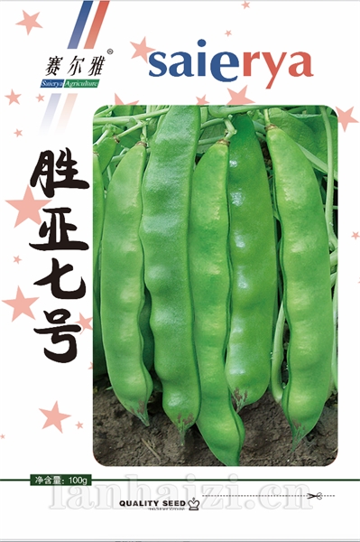 胜亚七号——豆角类