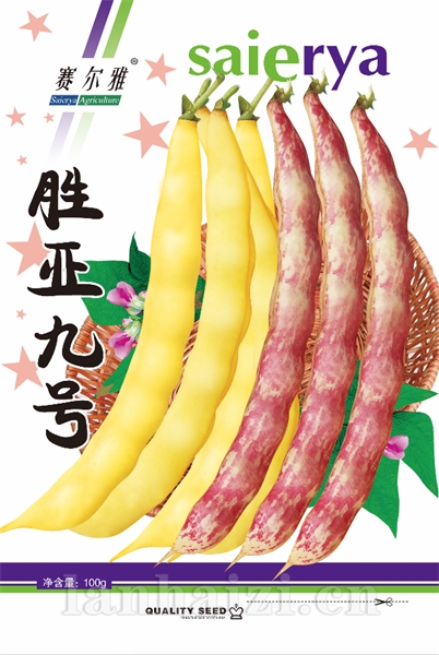 胜亚九号——豆角类