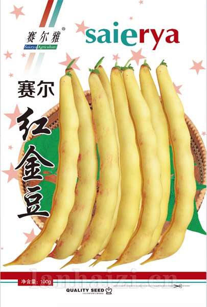 赛尔红金豆——豆角类