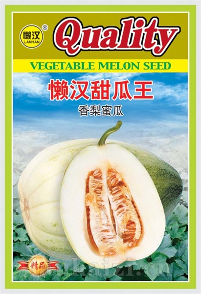 供应香梨密瓜—甜瓜种子