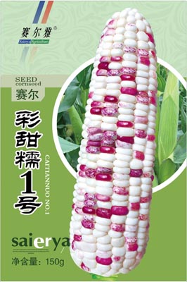 彩甜糯1号——粘玉米类