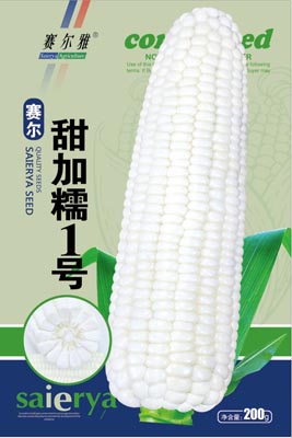甜加糯1号——粘玉米类
