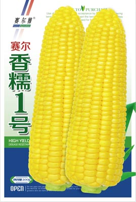 香糯1号——粘玉米类