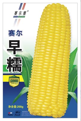 早糯——粘玉米类