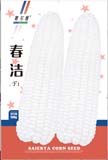 春洁——粘玉米类