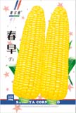 春早——粘玉米类
