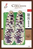 彩云——粘玉米类