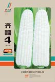 齐糯4——粘玉米类