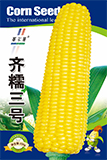 齐糯三号——粘玉米类