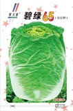 碧绿65——白菜类