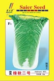 改良绿秋2号——白菜类