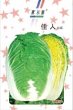 佳人——白菜类
