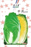 千月——白菜类