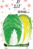 森田60——白菜类