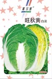 旺秋黄——白菜类
