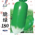 脆绿180——萝卜类