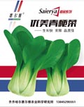 优美青梗菜——叶菜类