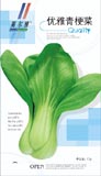 优雅青梗菜——叶菜类