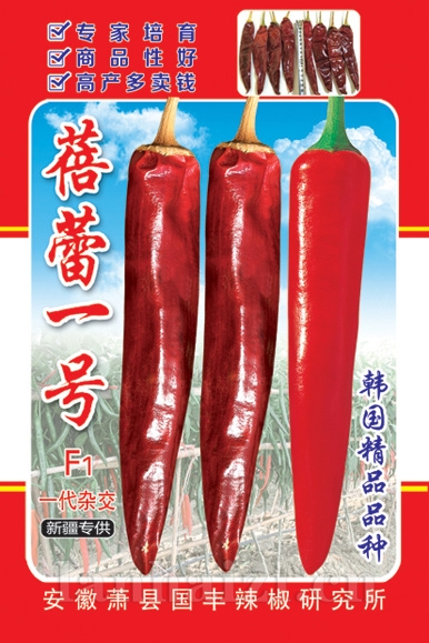 蓓蕾一号