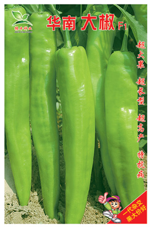 华南大椒