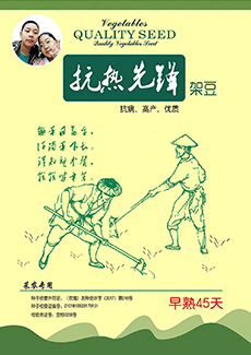 抗热先锋架豆