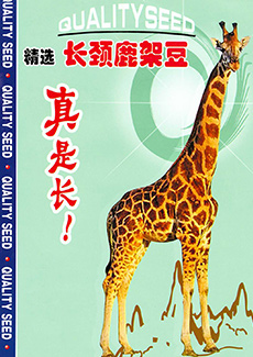 精选长颈鹿架豆