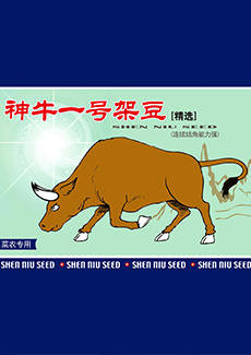 精选神牛一号架豆