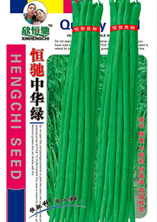 恒驰中华绿