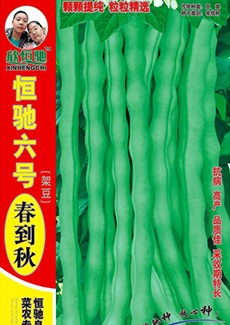 恒驰六号春到秋