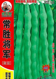 常胜将军