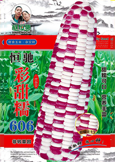 甜彩糯606