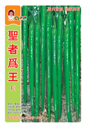 圣者为王