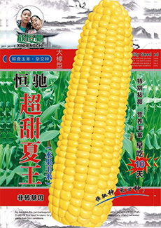 超甜夏王