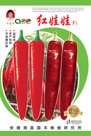 红娃娃