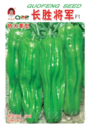长胜将军